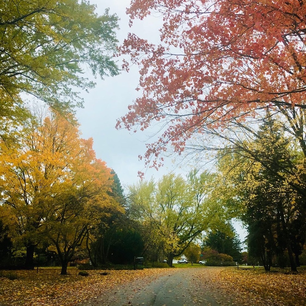 Meet your Posher, Harman